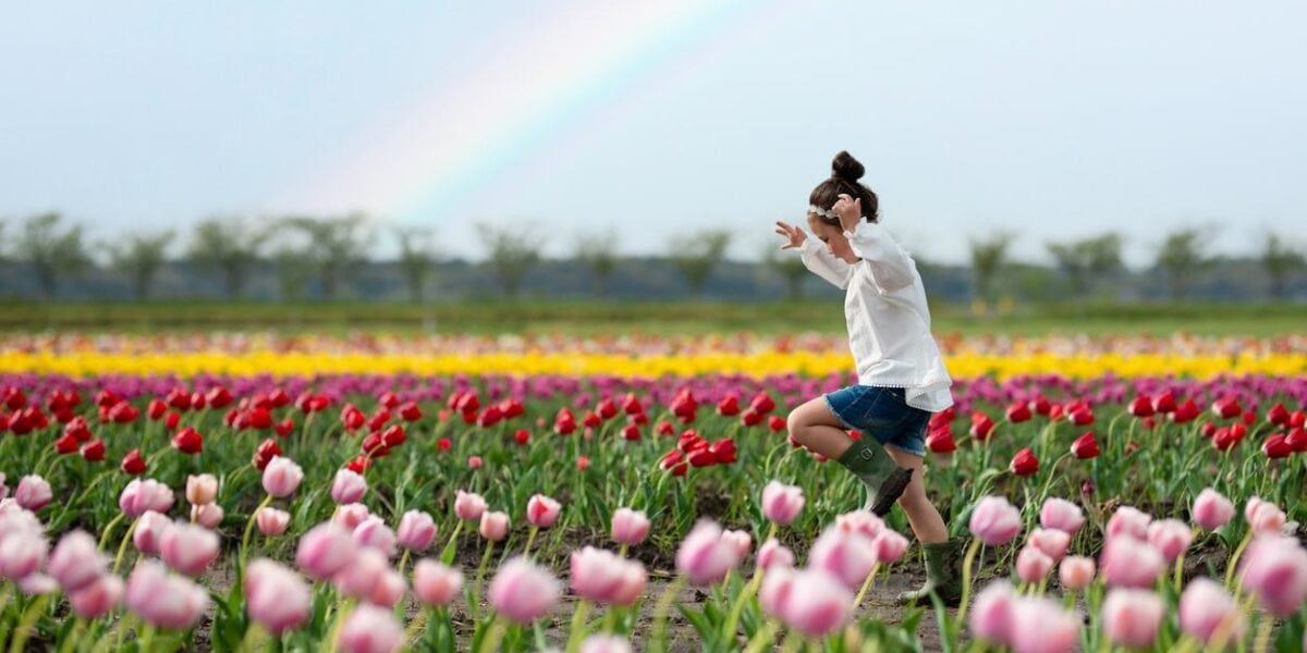 a little girl playing in a tulip field in the Netherlands, one of the best places to raise a family in 2025