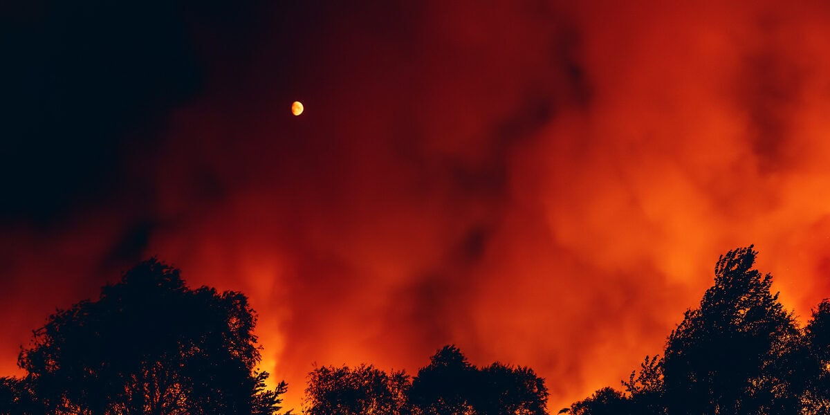 Forest fire or wildfire or bushfire at night, treetops silhouetted by flame