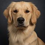 Millie, Barketing Analyst.