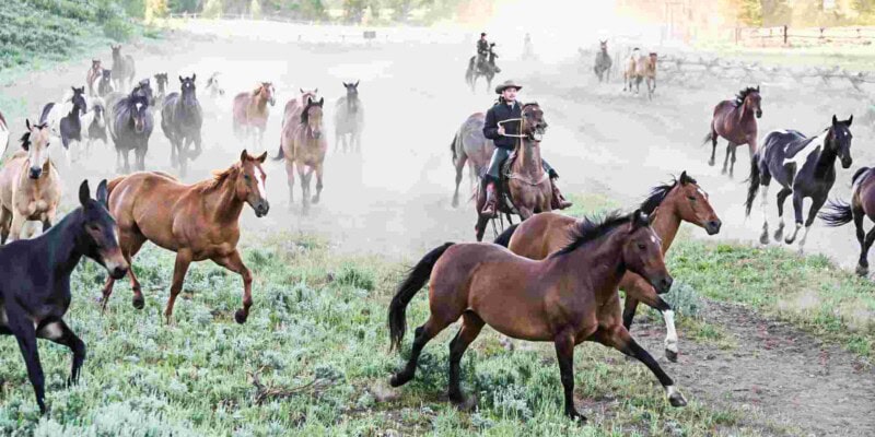 a cowboy roundup at a dude ranch, one of the biggest travel trends of 2025