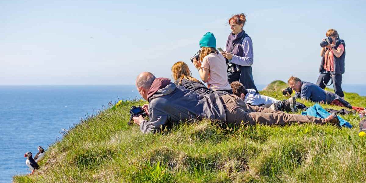 a family watching puffins on a cliff in Iceland, one of the best family vacation ideas for 2025